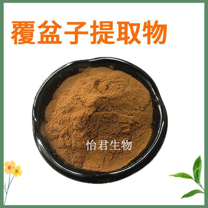 Raspberry Extract 20 1 Concentrate Powder Premium Natural Fruit Pure