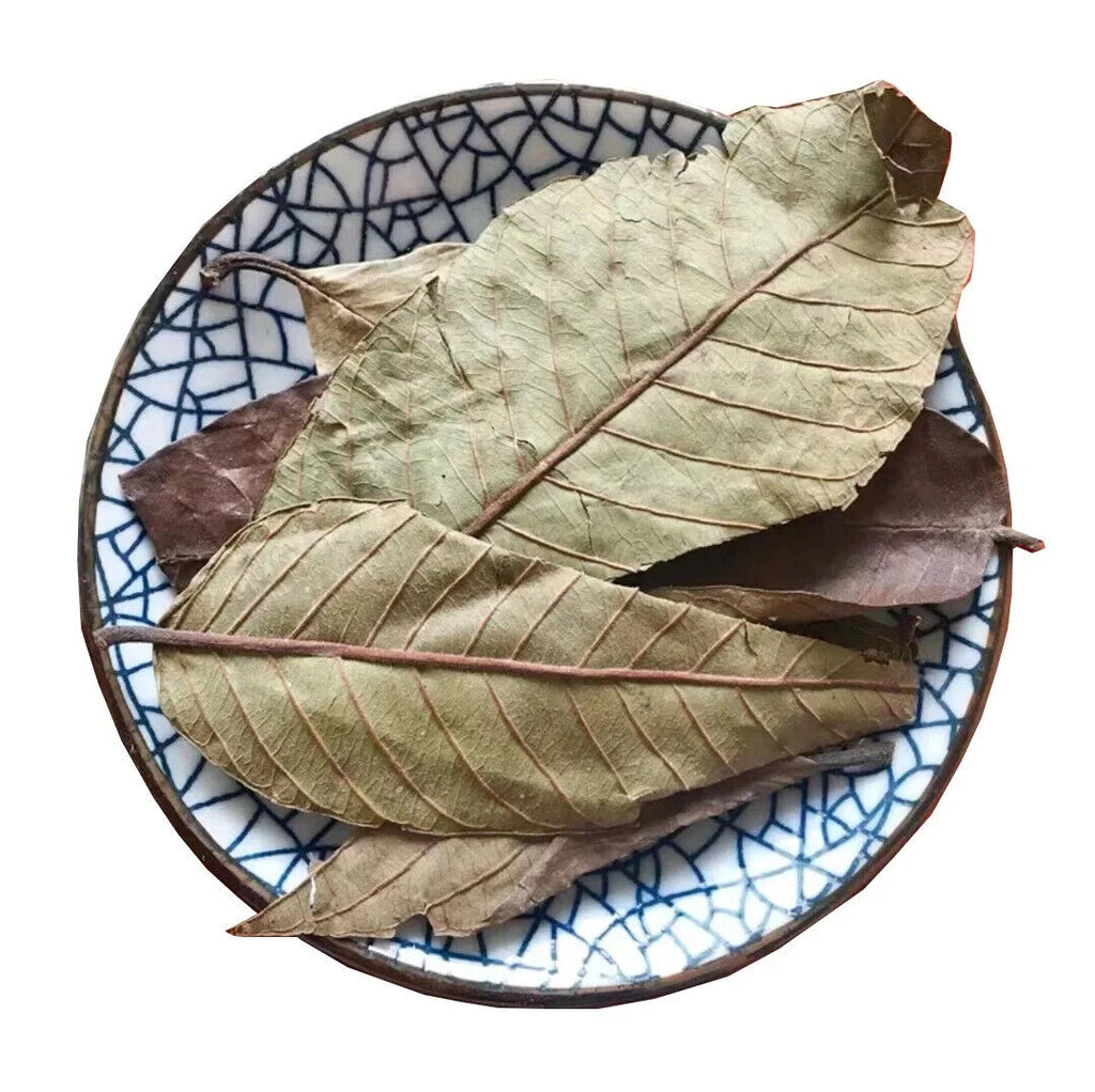 Organic Guava Leaf Tea Natural Psidium Guajava Linn Relieving Food Accumulation