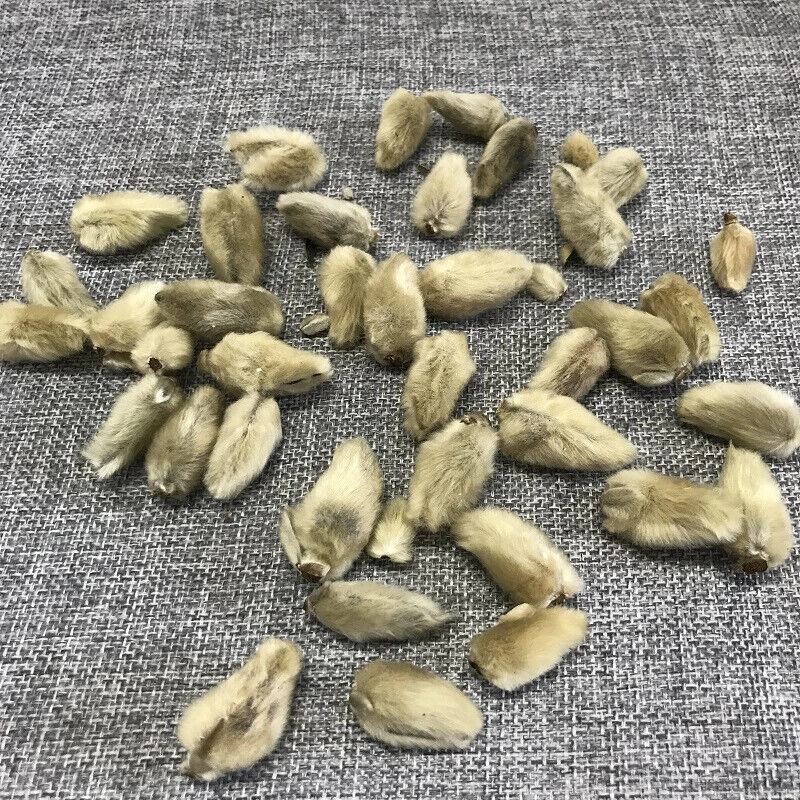 Xinyihua Natural Flavor Tea Dried Flos Magnoliae Flower Tea 250g Secondary image