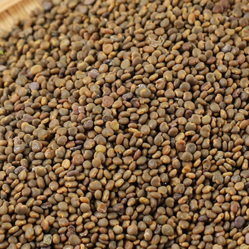 沙宛子 250g Top-grade Sha Wan Zi 100% Organic Healthy Herbal Tea Secondary image