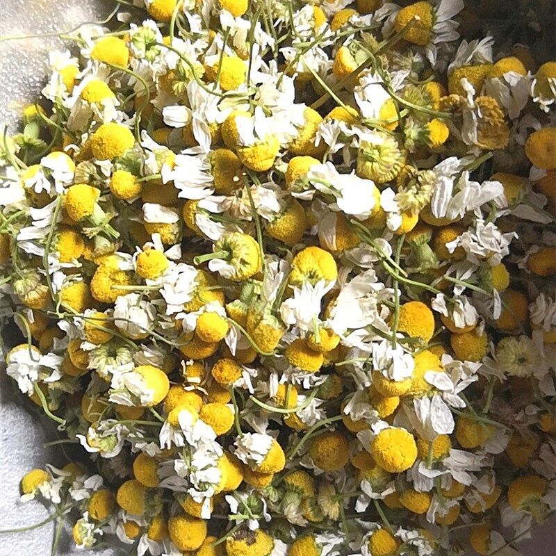 Bulk chamomile chamomile dried flowers chamomile petals flower foam 17.6oz