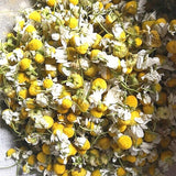 Bulk chamomile chamomile dried flowers chamomile petals flower foam 17.6oz