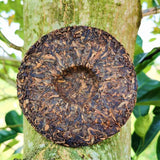 Chinese Famous Pu Erh Tea Cake Golden Bud Round Tea 80G Aged Ripe Puer Tea Cake
