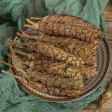 100% Natural Spica Prunellae, Xia Ku Cao 夏枯草 Prunella Vulgaris Chinese herbs