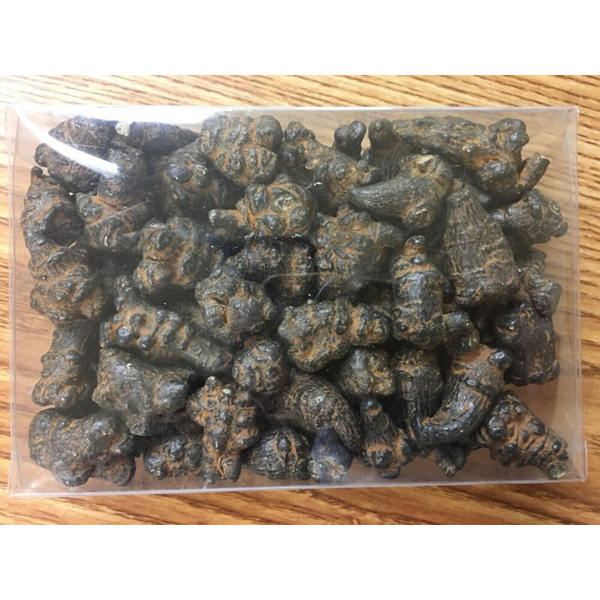 Gute Qualität und Preis 500g Black Radix Pseudoginseng
