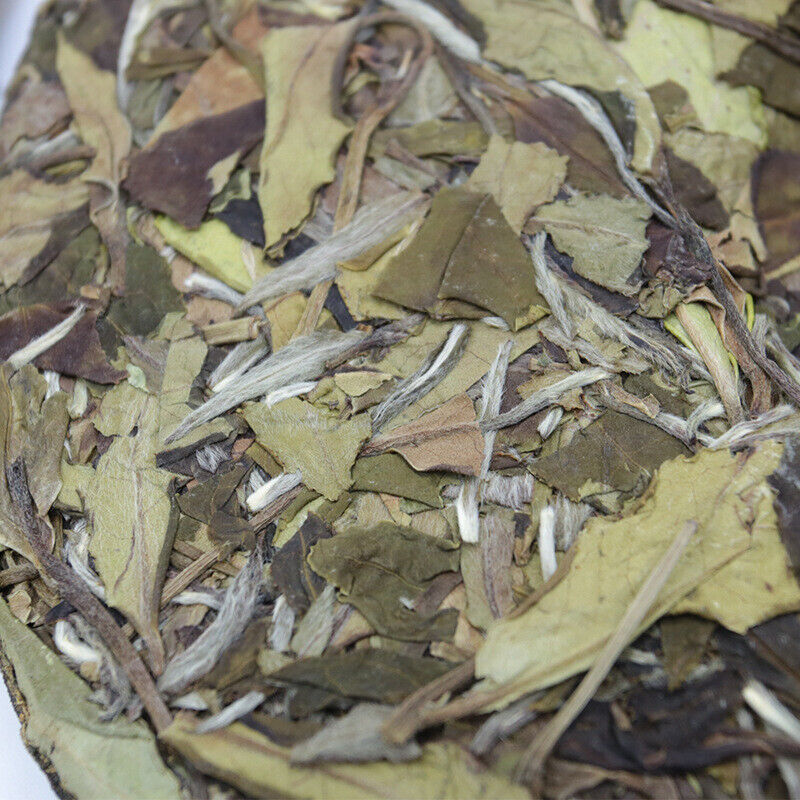 White Dew Fuding White Tea Cake Health Care 300g White Tea High Mountain Shoumei