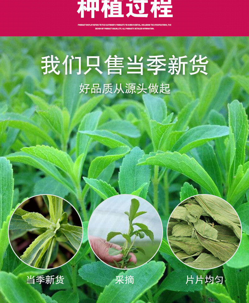 Hochwertige Stevia Bulk Süßer Kräutertee Stevia Blätter 500g