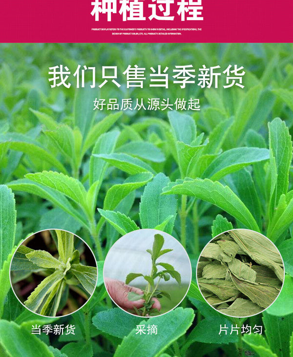 Hochwertige Stevia Bulk Süßer Kräutertee Stevia Blätter 500g