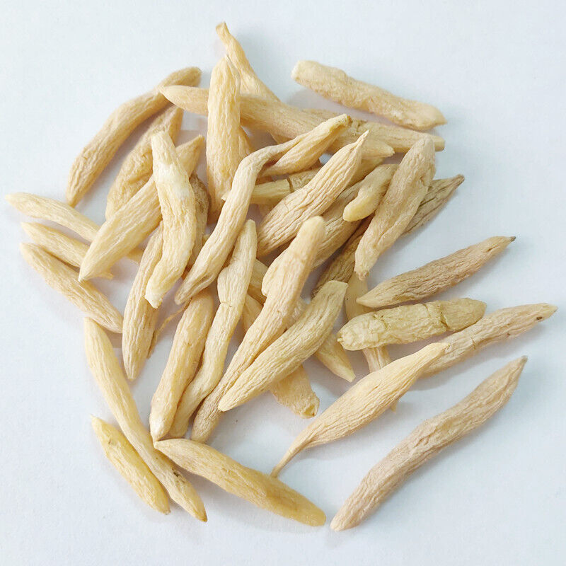 Supply Maidong Sichuan Maidong various sizes of large goods Maidong 17.6oz