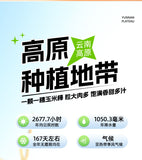 Sweet Corn Kernels – Instant Vacuum-Packed Snack