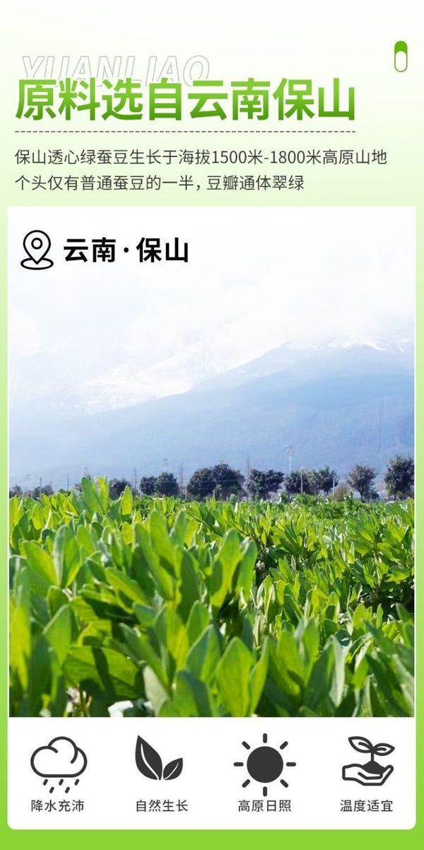 Yunnan Flowered Broad Beans - Crispy Green Snack (Individually Packed)