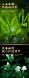 Fuzhou Jasmine Tea Extra Strong 200g Cans of Tea Strong Aromatic Green Tea
