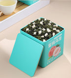 Fruit Tea with White Peach Herbal Tea Cold Brew Tin Can Peach Oolong Tea Floral