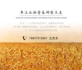 500g Ready-to-eat Stir-fried Baked Meal Replacement Powder Cooked Peanut Powder