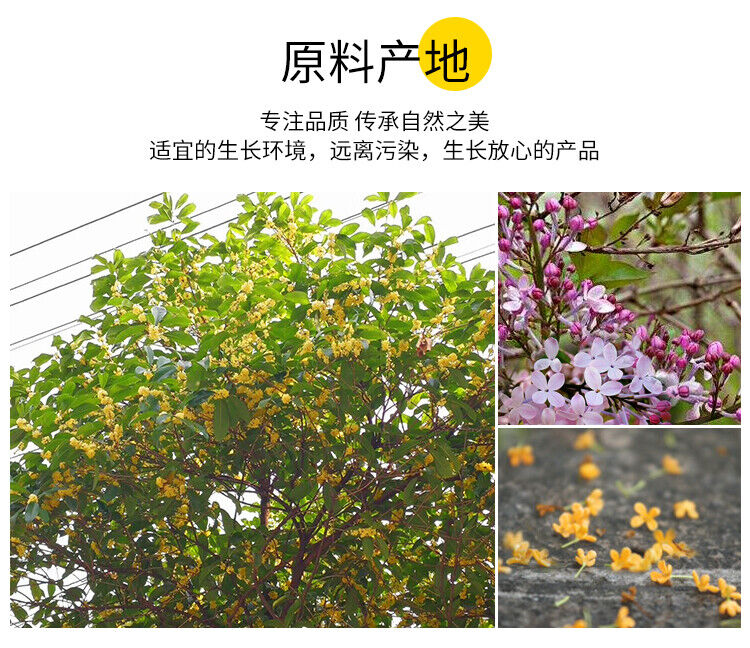 Clove Osmanthus Tea Health Tea Removes Bad Breath , Nourishes The Stomach