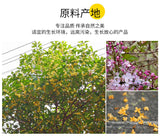 Clove Osmanthus Tea Health Tea Removes Bad Breath , Nourishes The Stomach