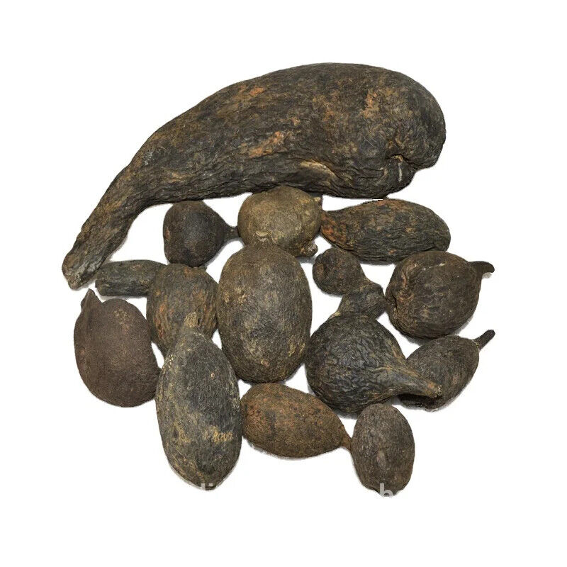 Natural and Dried Whole Black Xylaria Nigripes Klotzsch Cooke Sclerotium 50g Main image