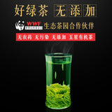 2025 Jinjiang Green Tea Organic Three-Star 50g Bag Pre-Qingming Rain-Soaked Tea