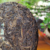 357g Yunnan Old Raw Tea Pu'er Aged Gaoligongshan High Altitude Eco