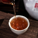 2023 Haiwan Ripe Pu-erh 500g Batch 231 Remote Mountain Old Tree