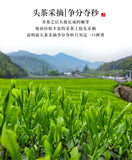 New Maojian Tea Green Tea Strong Flavor 100g Can