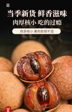 Jumbo Dried Longan 500g Small Seed Premium Sweet Fruit Snack