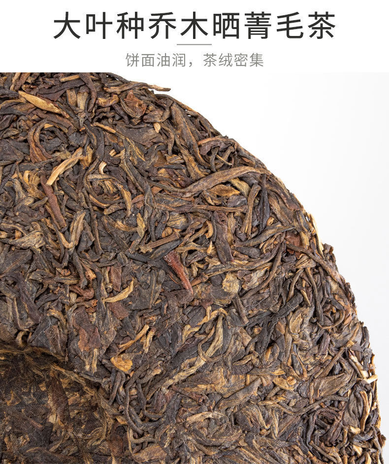 Old Comrade Puerh Tea Cake 9928 Large Leaf Seed Sun-dried Mao Puerh Raw Tea 357g
