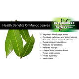 Natural high-quality ORGANIC Dried Mango leaves Quality Pure Leaf For Tea 500g