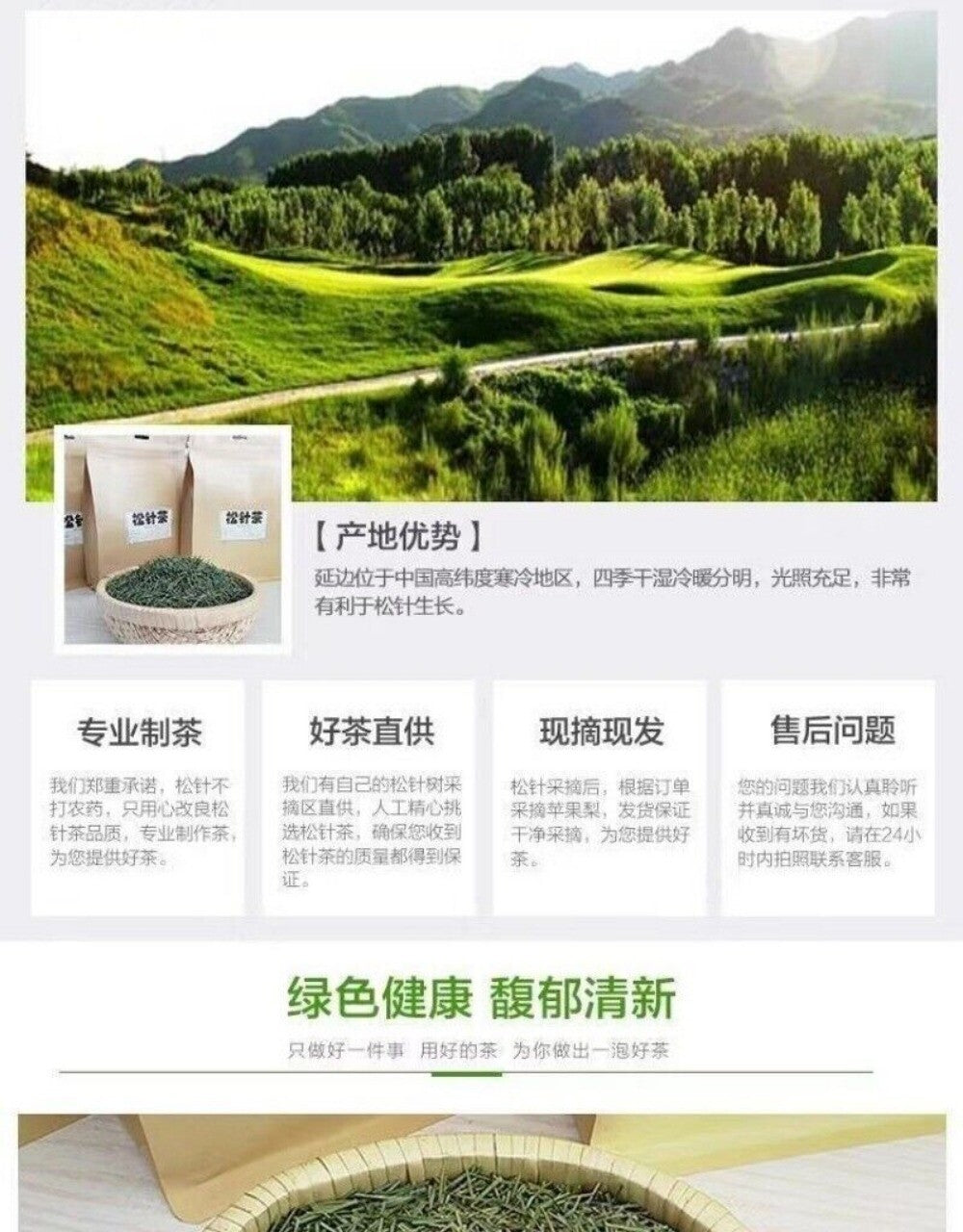Premium Changbai Mountain Pine Needle Tea 250g High Altitude Fresh Dried Herbal