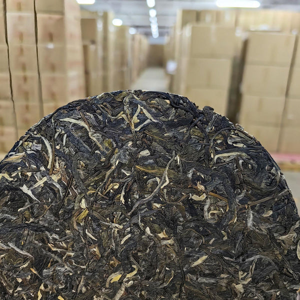 120g Hand-Torn Raw Tea Yunnan Pu-erh Tea - Lincang Bingdao Ancient Tree
