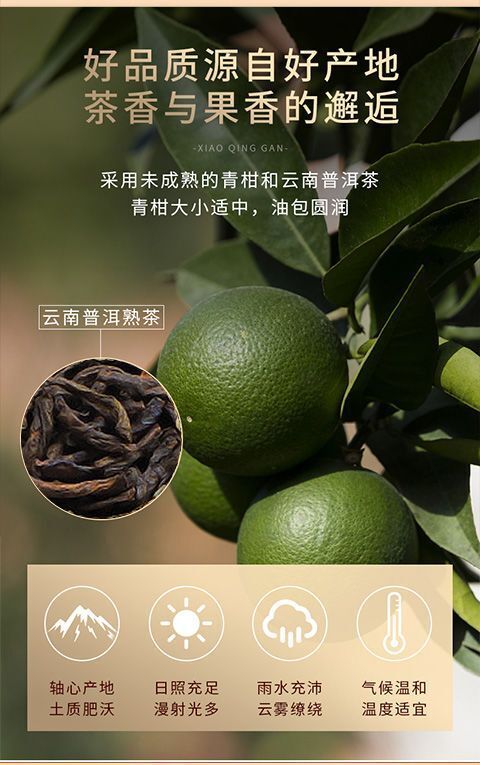 Xinhui Xiaoqingkang Puerh Tea Ripe Tea Authentic Chen Pi Raw Sunshine 250g