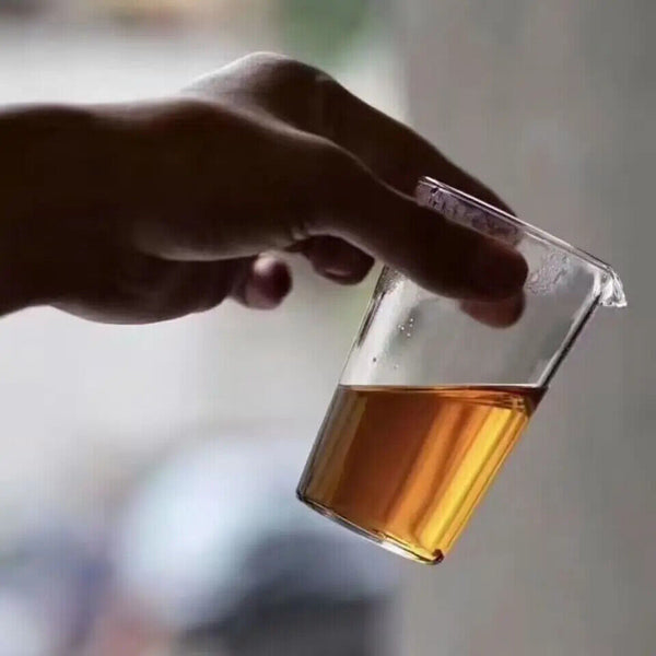 Dingxing Old Raw Puer Tea Tuocha 100g Chinese Compressed Unfermented Puer Tuocha