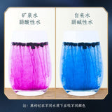 Black Wolfberries 200G/7.05oz AAAAA Top Grade Qinghai Black Goji