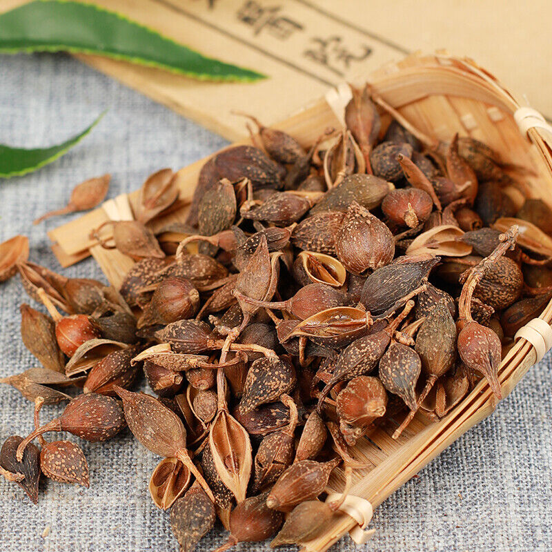 250g /500g High Quality Featured Forsythia Lianqiao Health Top Tea 连翘