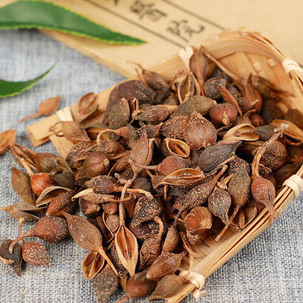 250g /500g High Quality Featured Forsythia Lianqiao Health Top Tea 连翘