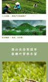 Enshi selenium tea fried green tea strong aroma high mountain cloud green tea