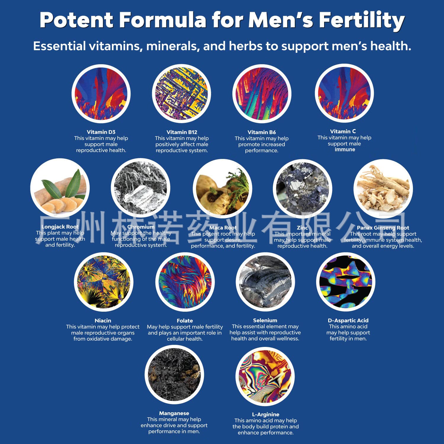 Male Fertility Support Gummy |Boost Fertility and Prostate Secondary image