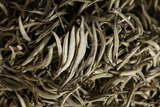 Pu'er raw tea white hair silver needle white hair single bud moonlight white tea