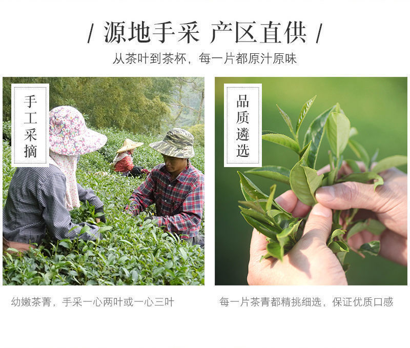Taiwan Imported Dong Ding Oolong Tea High Mountain Rich Aroma New Tea Gift Box