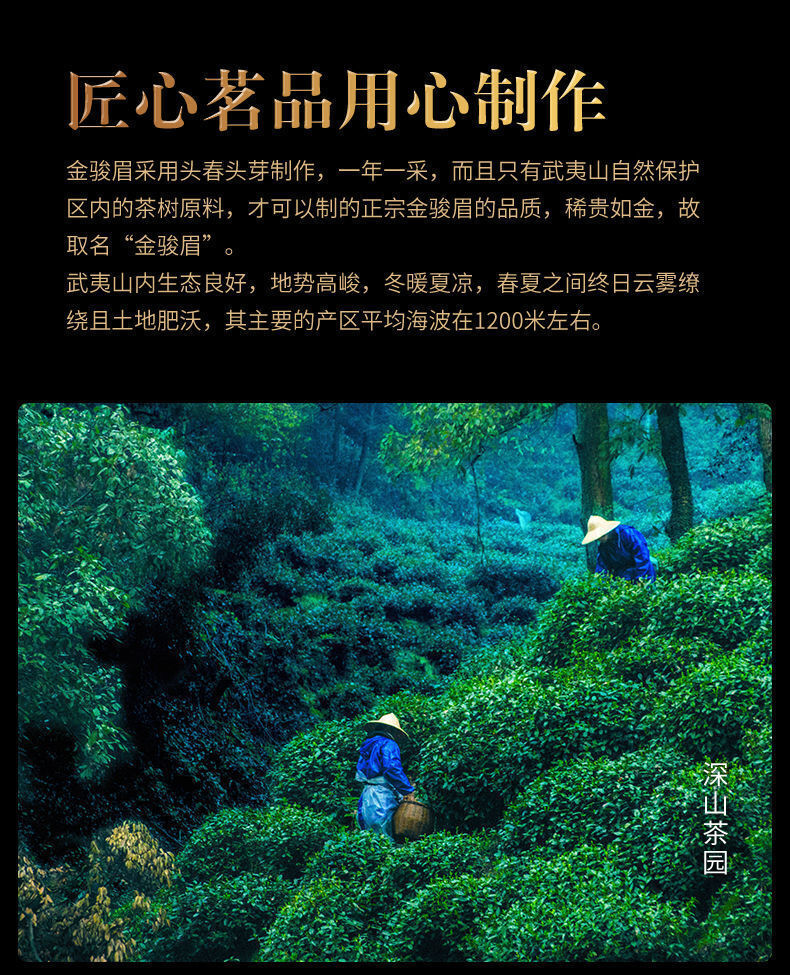 Golden Jun Mei Black Tea Special Grade Wuyi Strong Fragrance Honey Fragrance Tea