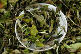 500g Yunnan white tea early spring ancient Fuding white tea process white tea