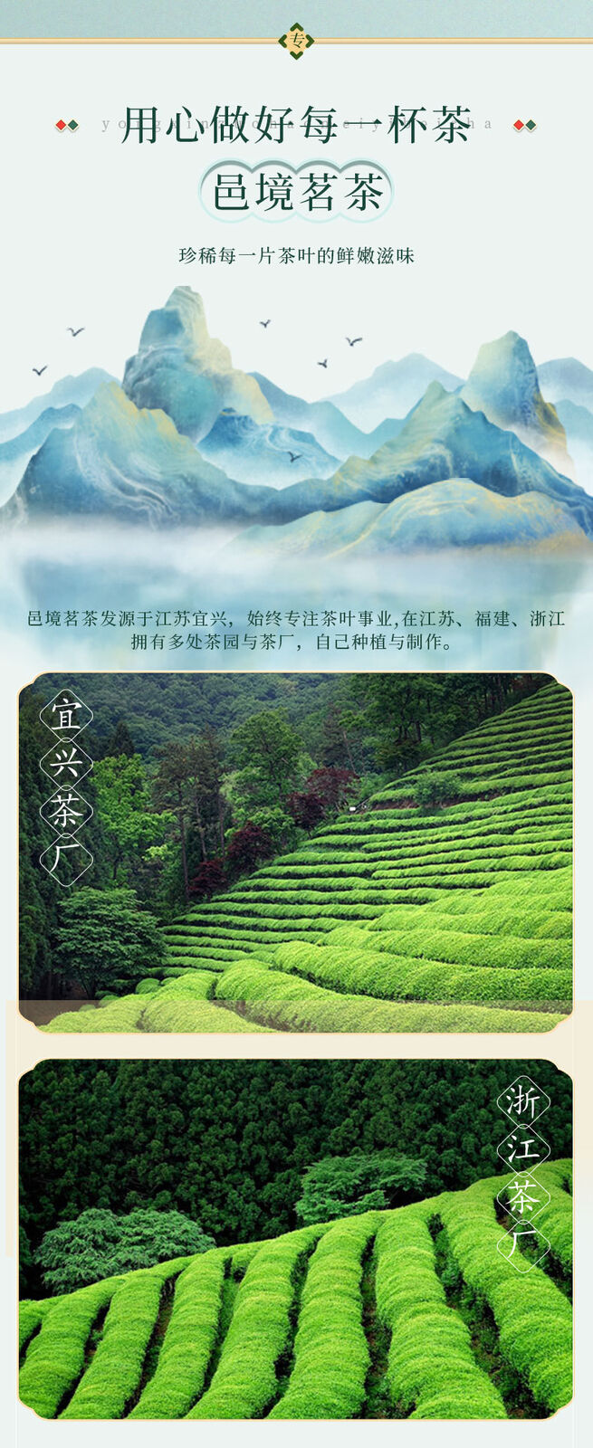 Organic Green Tea Yuhua High Quality Tea Exquisite Gift Box 96g