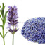 Lavender Flower Tea 50g Organic Sleep Beauty