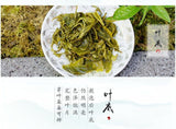 Premium Bi Luo Chun 2025 New Spring Tea Yunnan Dian Green 200g Natural