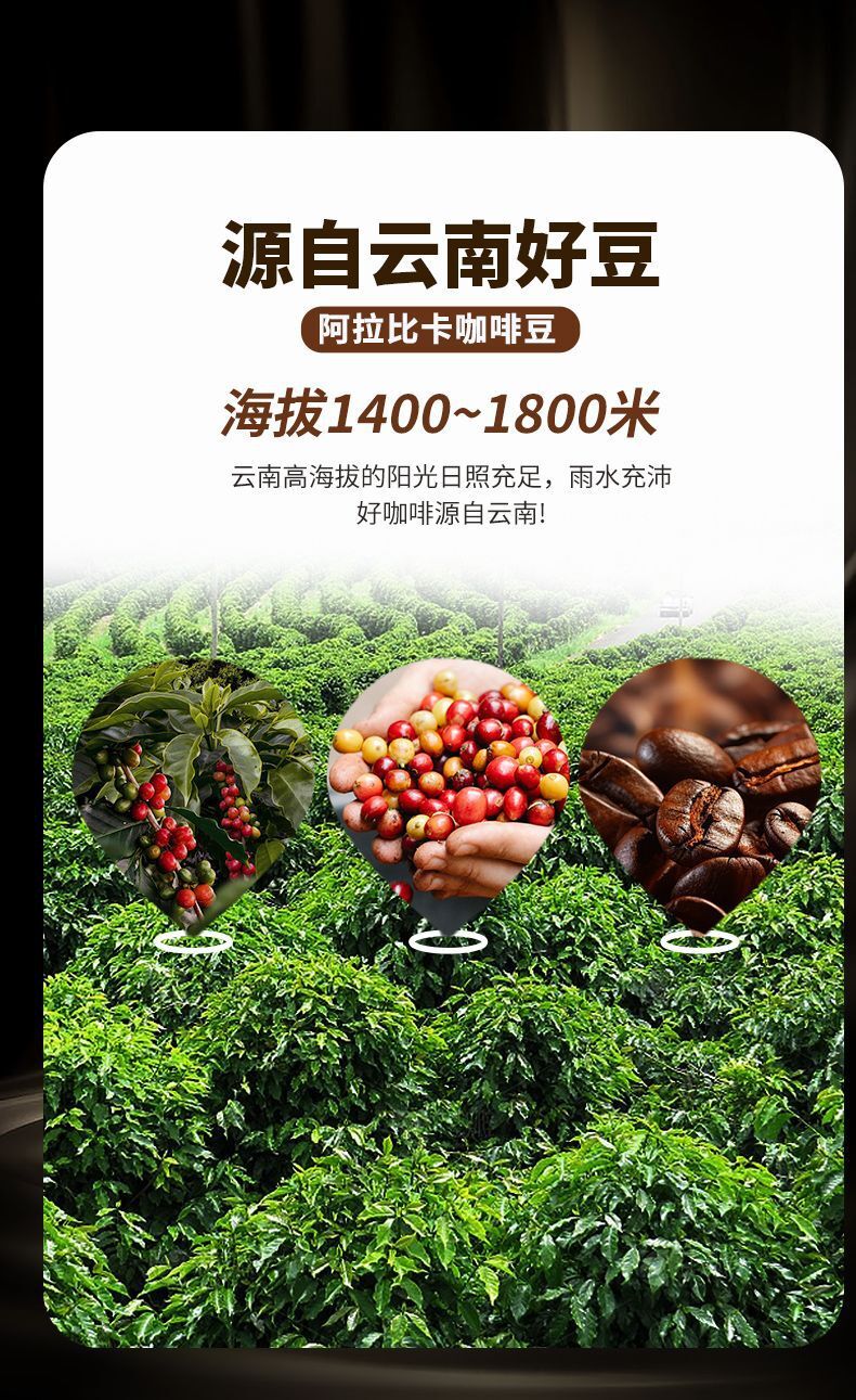 Premium Dark Coffee Powder – Strong Brew for Cafés & Hotels