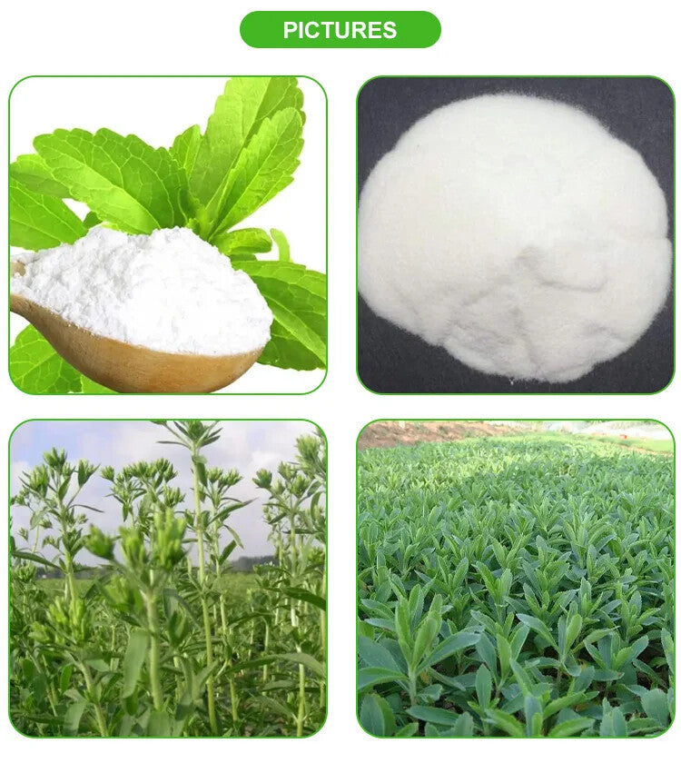 Natural Stevia Leaf Powder Dried Plant Extract Herbal