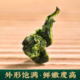 Fresh Spring Tie Guan Yin Oolong Tea 250g New Harvest Light Aroma