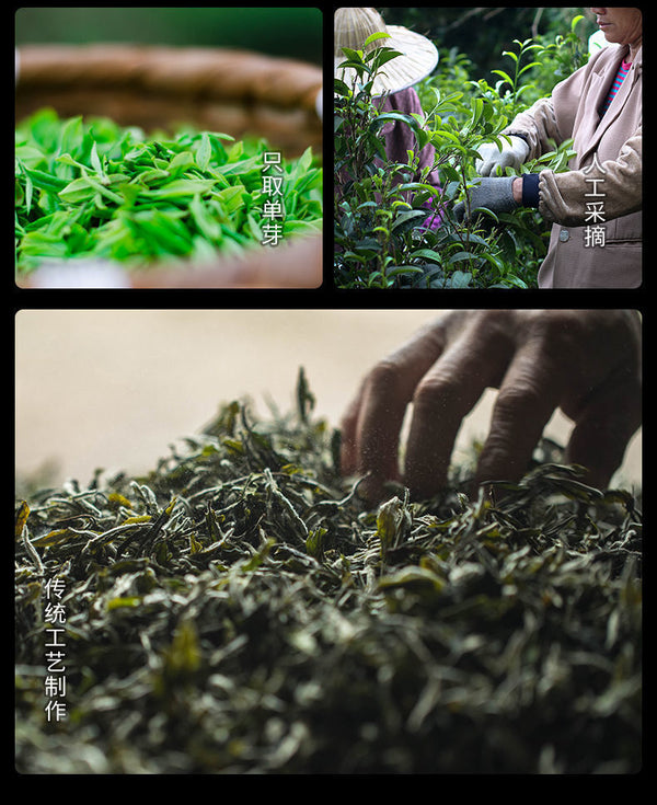 Golden Jun Mei Black Tea Special Grade Wuyi Strong Fragrance Honey Fragrance Tea