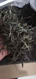 500G Old Tree Puerh Loose Tea Own Ancient Tea Plantation Raw Ancient Tree Puerh