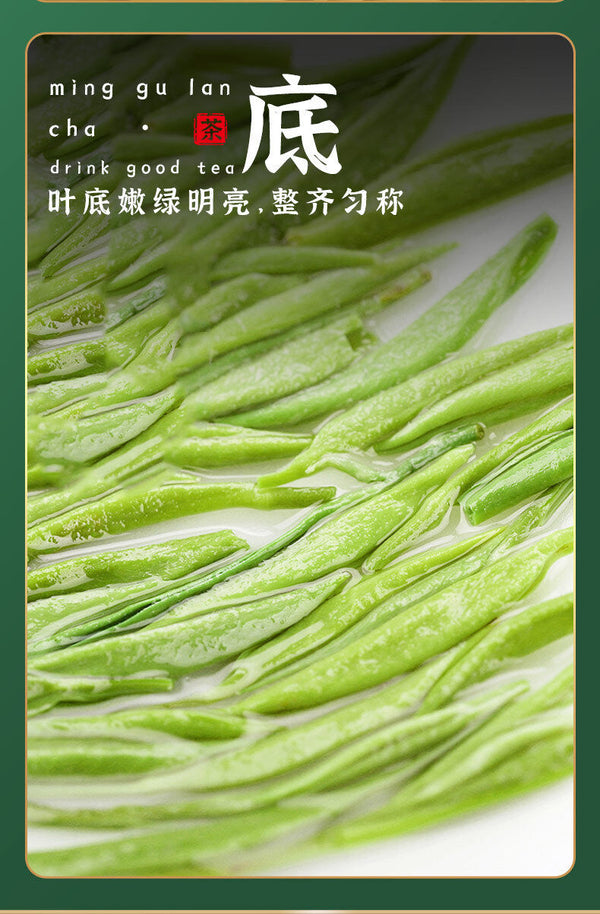 Minggulan Yunwu Maojian Tea Green Tea Spring Good Tea Stir-fried Young Buds 76g